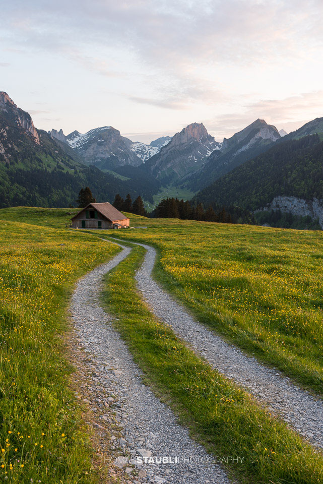 Abendstimmung im Frühling auf der Alp Soll im Alpstein