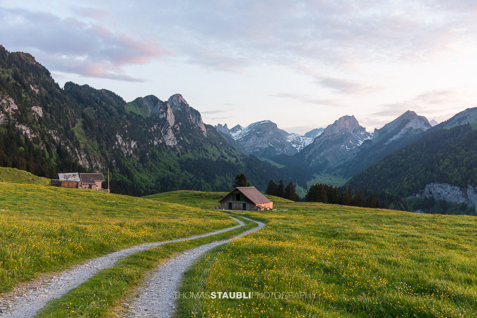 Abendstimmung im Frühling auf der Alp Soll im Alpstein