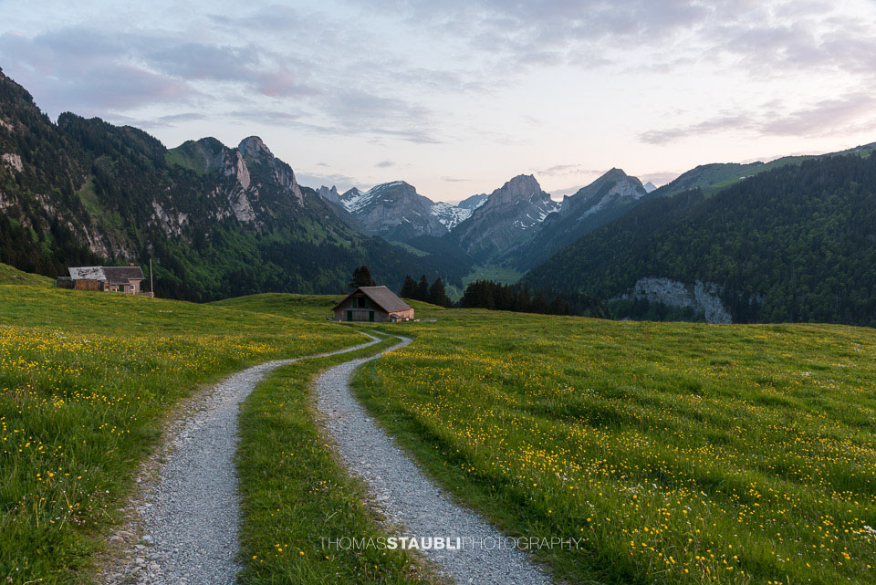 Abendstimmung im Frühling auf der Alp Soll im Alpstein