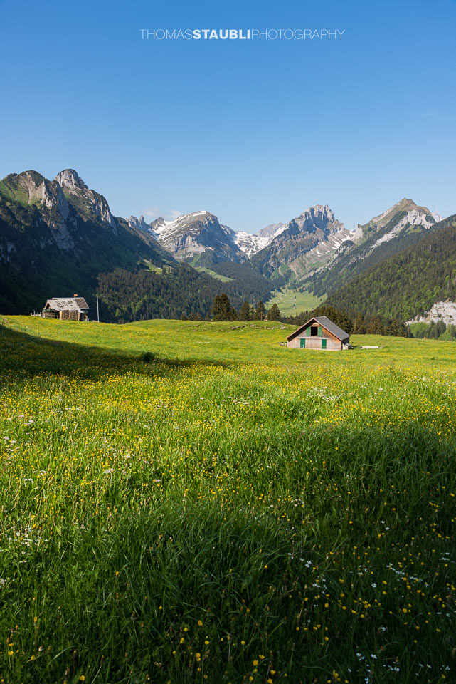 die ersten Sonnenstrahlen auf der Alp Soll im Alpstein