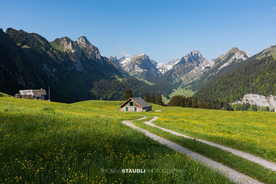 die ersten Sonnenstrahlen auf der Alp Soll im Alpstein