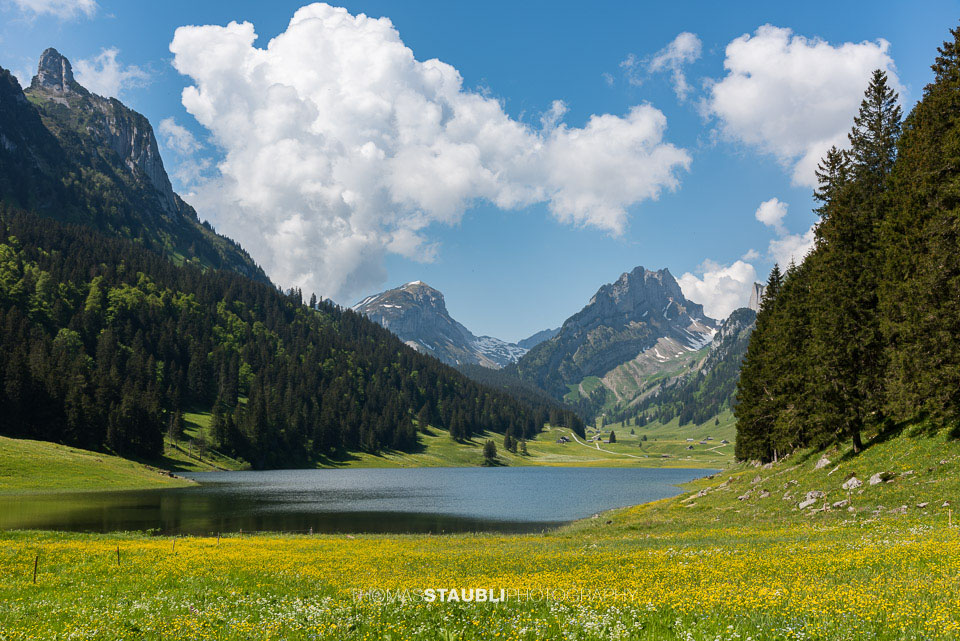 Bergfrühling am Sämtisersee im Alpstein