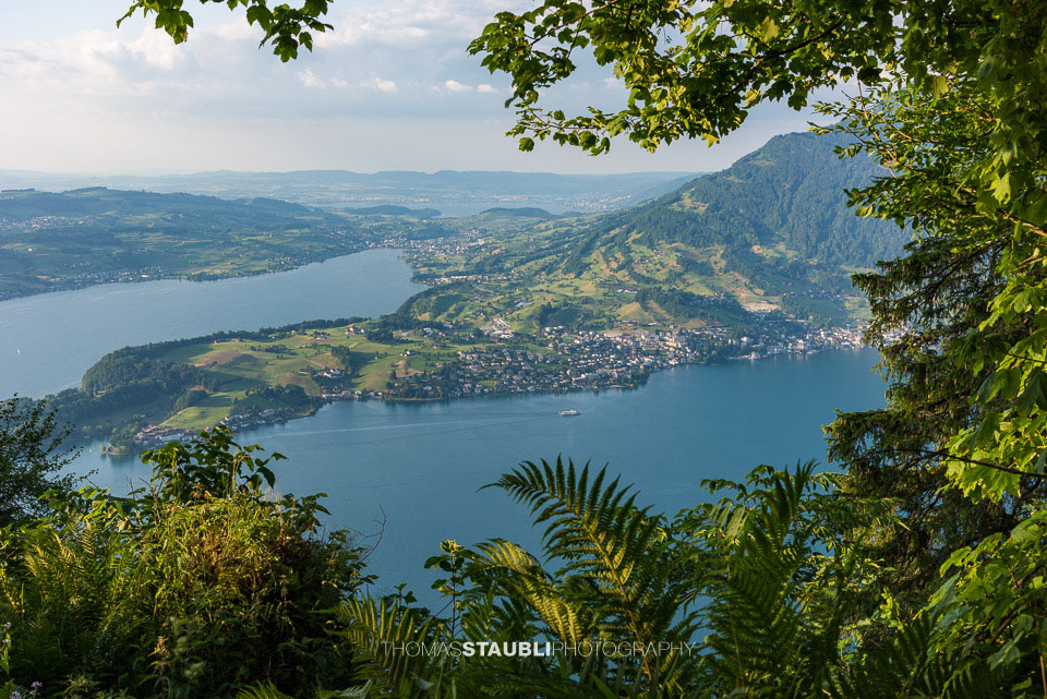 Blick vom Bürgenstock Richtung Weggis