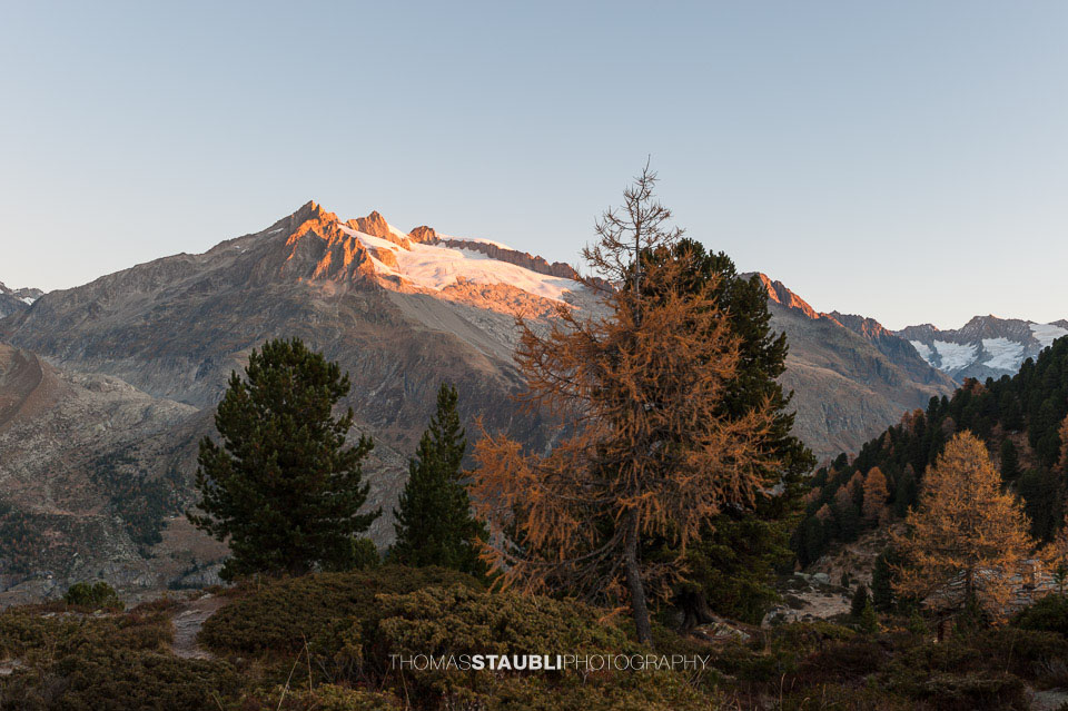 Herbststimmung auf der Riederfurka mit Blick zum Grossen Fusshorn, Drietschgletscher und Geissgrat