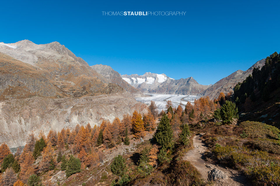 prächtiger Herbsttag am Grossen Aletschgletscher 2008