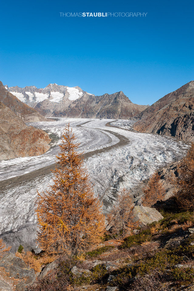 prächtiger Herbsttag am Grossen Aletschgletscher 2008