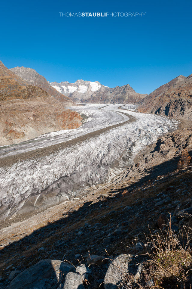 prächtiger Herbsttag am Grossen Aletschgletscher 2008