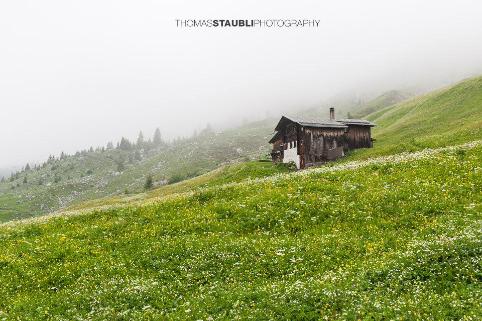 Bauernhaus in den Blumenwiesen von Partnun