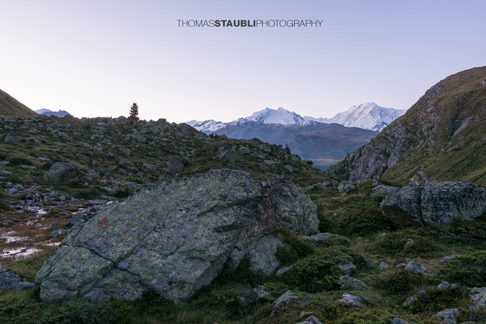 frühmorgens auf der Trift mit Blick zur Dufourspitze und Liskamm