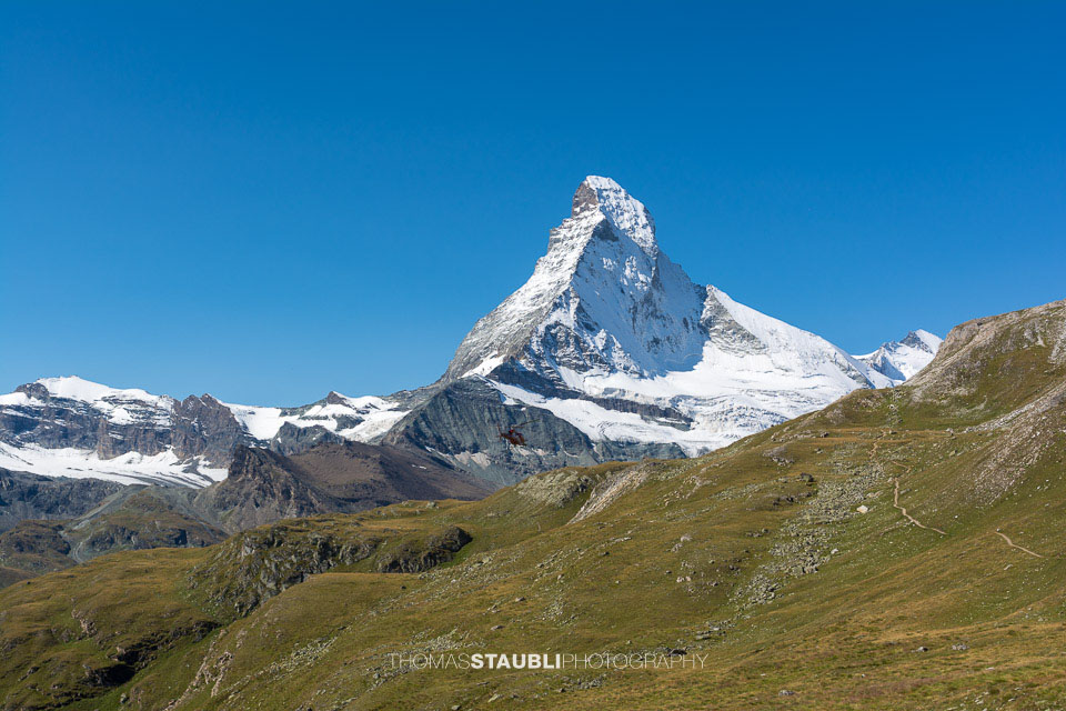auf dem Edelweissweg Höhbalmen mit Blick auf das verschneite Matterhorn vor wolkenlosem blauem Himmel