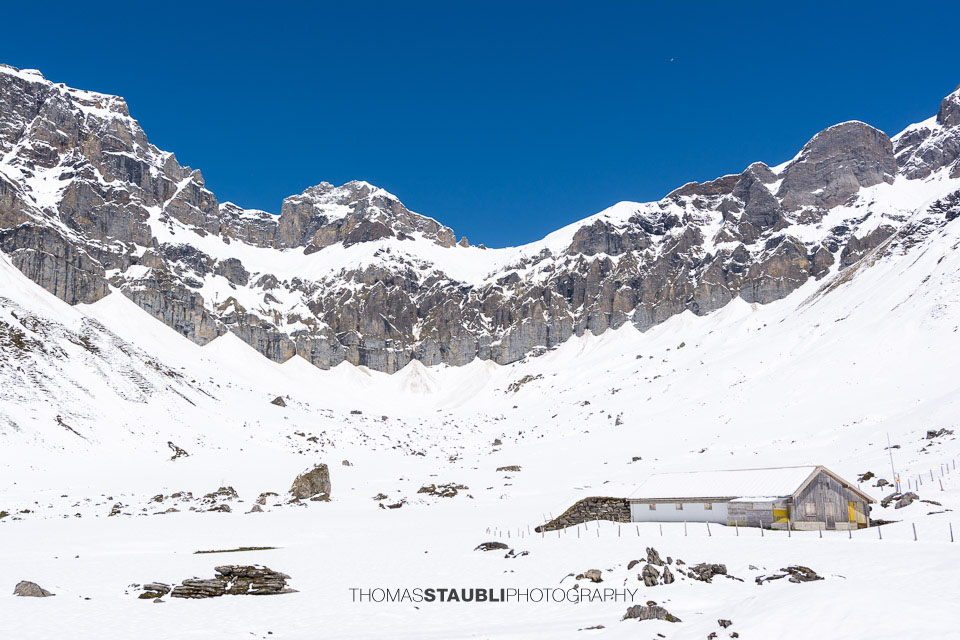 Surenen – verschneite Gritschenbänder auf der Blackenalp