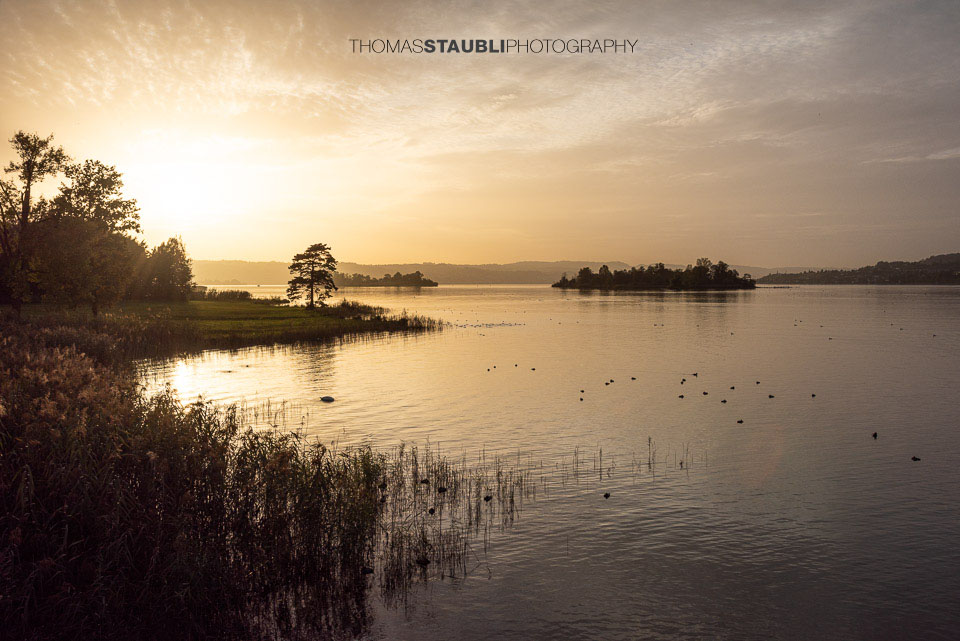 Sonnenuntergang auf dem Seedamm mit Blick auf die Inseln Lützelau und Ufenau