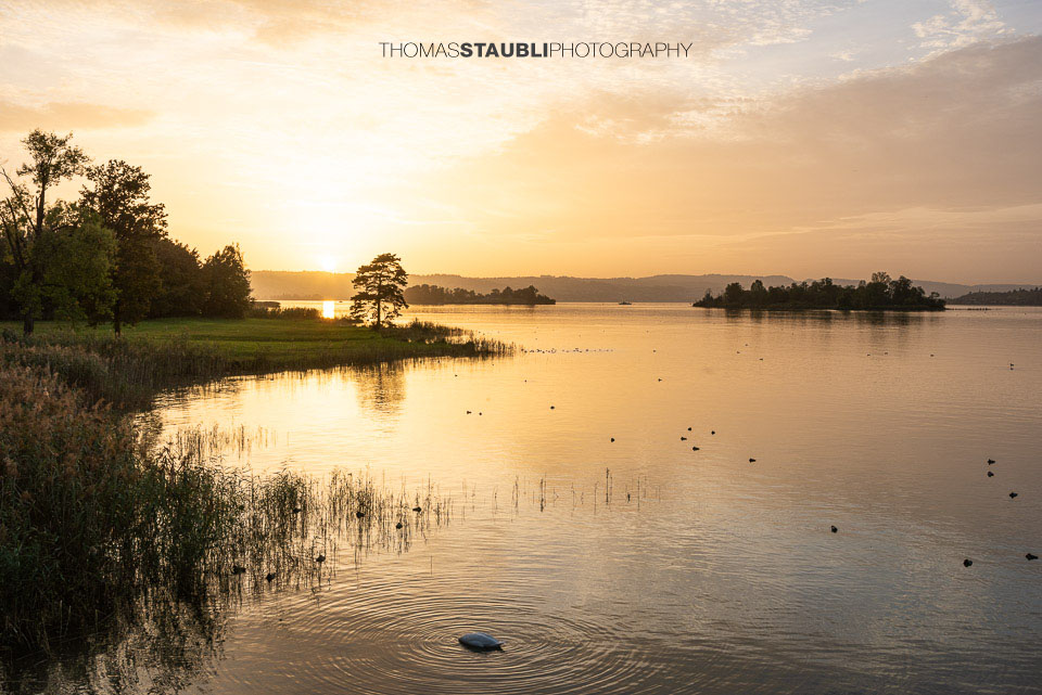 Sonnenuntergang auf dem Seedamm mit Blick auf die Inseln Lützelau und Ufenau