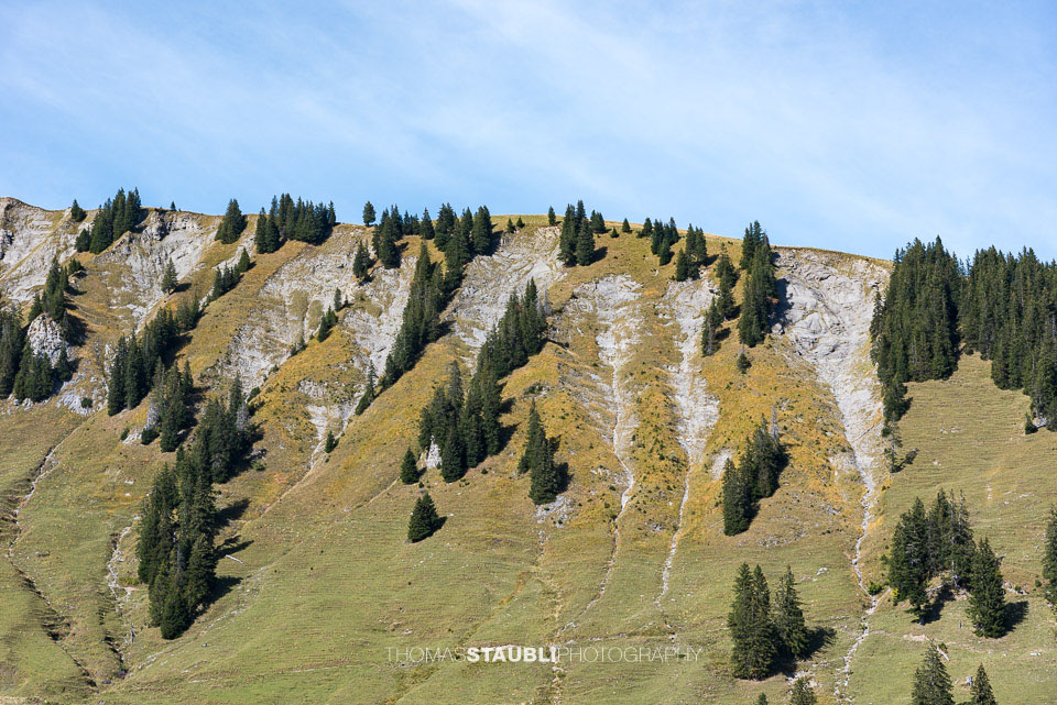 Blick von Turren Richtung Rückenegg