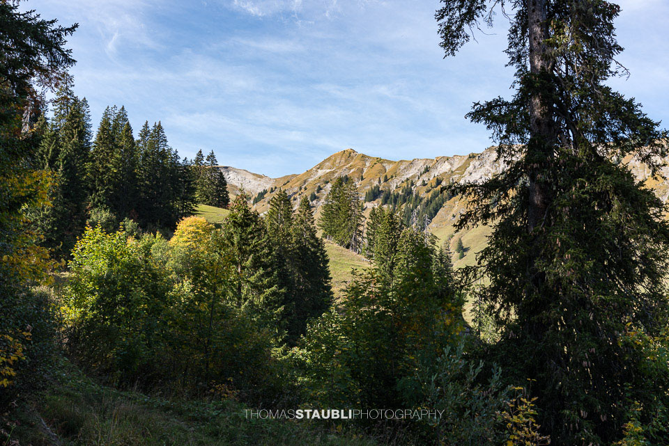 Blick von Turren Richtung Mändli