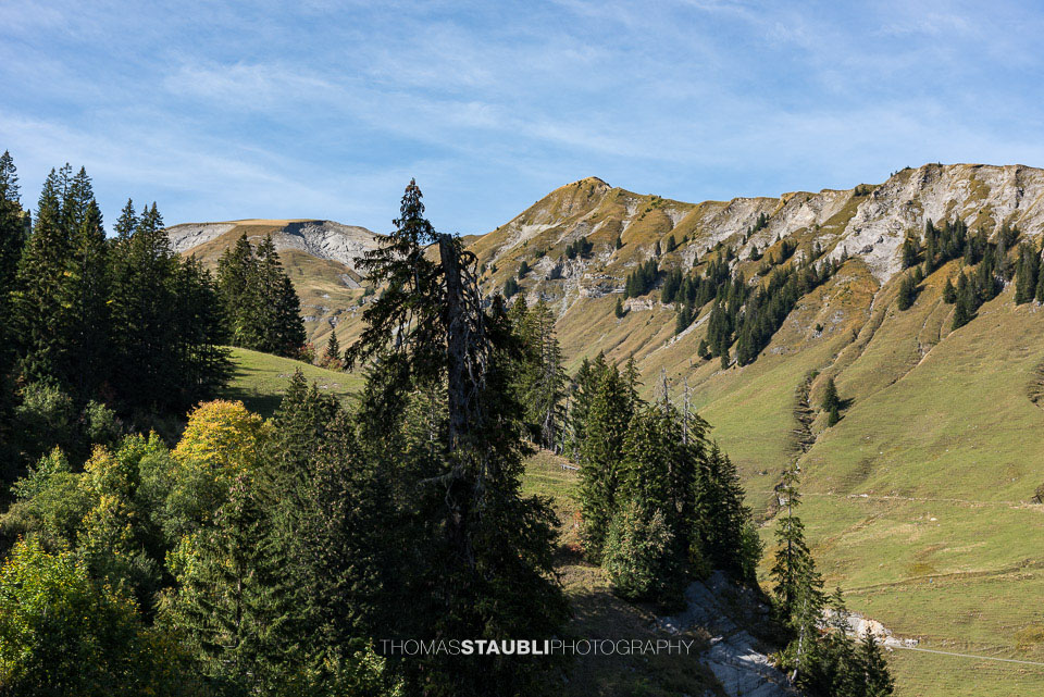 Blick von Turren Richtung Mändli