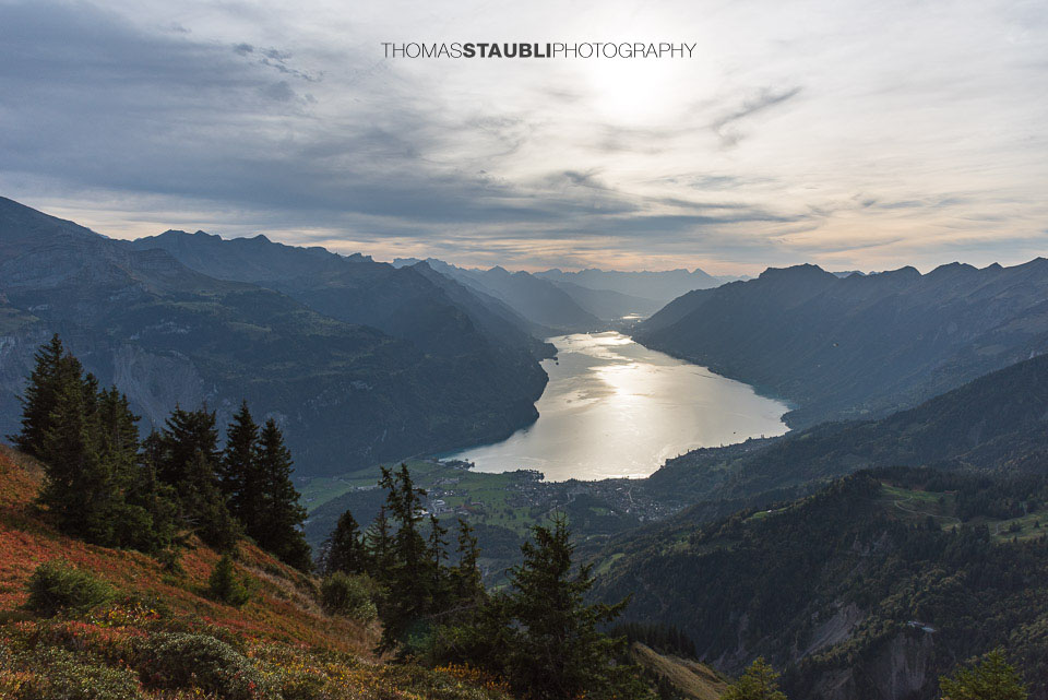 Blick vom Wilerhorn Richtung Brienzersee