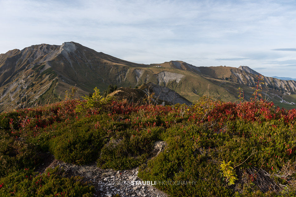 Blick vom Wilerhorn Richtung Höch Gumme und Schönbüel