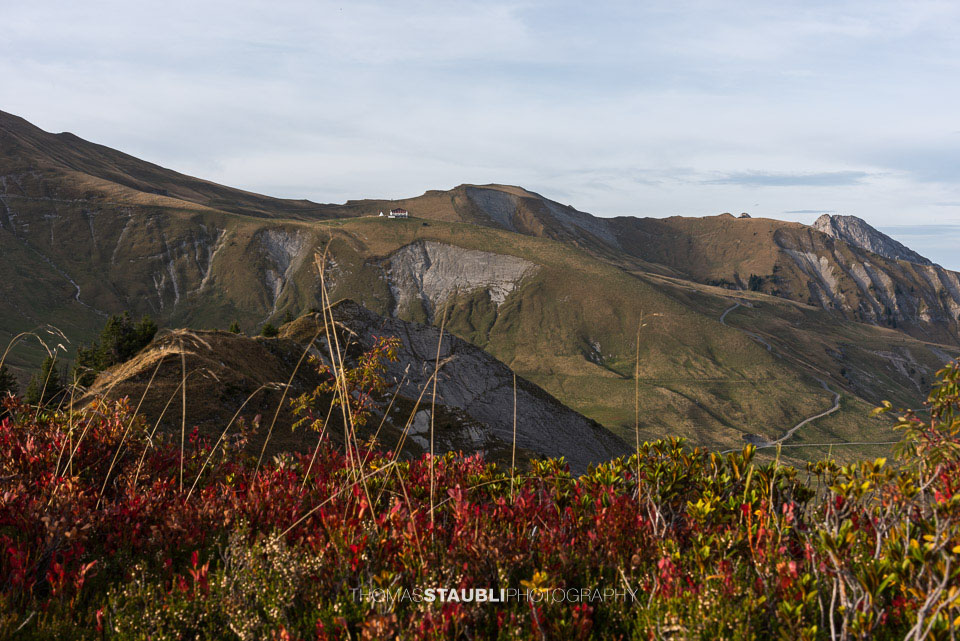 Blick vom Wilerhorn Richtung Schönbüel