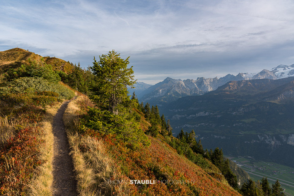 Blick vom Wilerhorn Richtung Berner Alpen