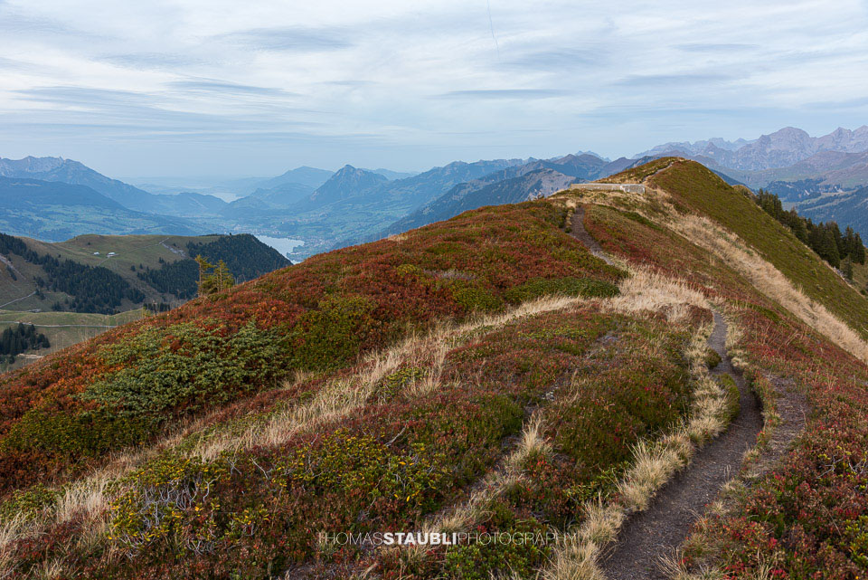 Blick vom Wilerhorn Richtung Zentralschweiz
