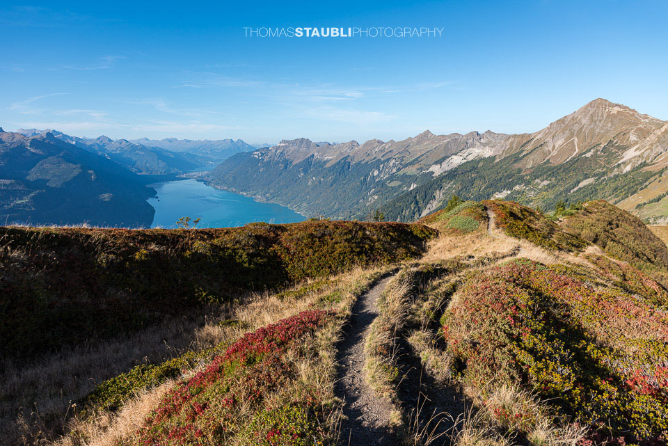 Blick auf den Brienzersee