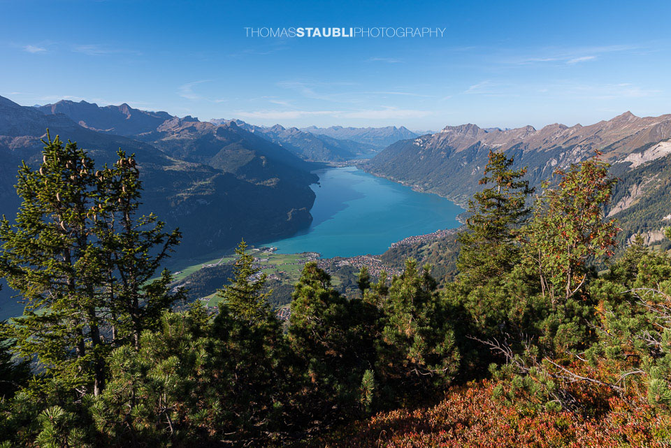 Blick auf den Brienzersee