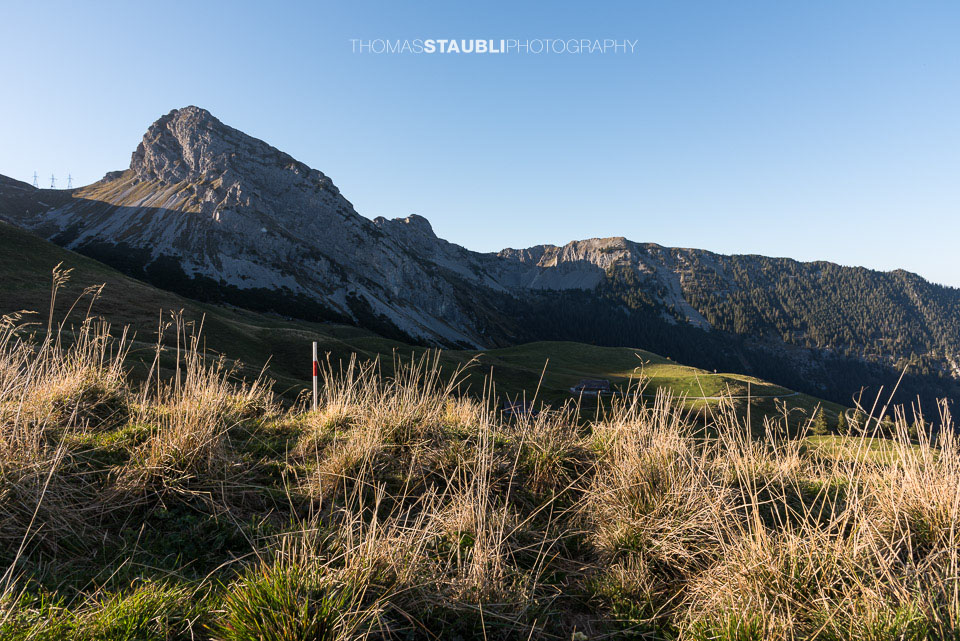 Abendstimmung auf der Dundelegg