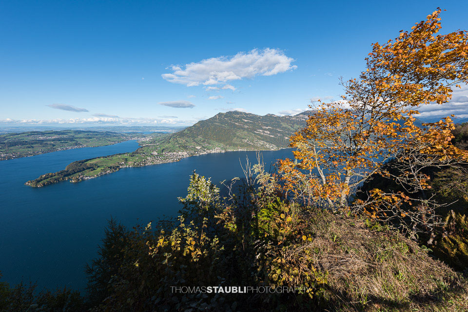 Blick vom Bürgenstock Richtung Weggis und Rigi