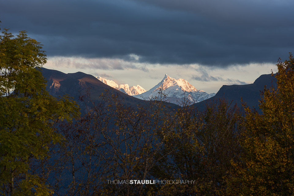 Blick Richtung Gross Schärhorn
