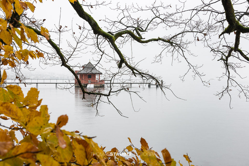 nebliger Novembertag beim Badehaus auf der Halbinsel Au am Zürichsee