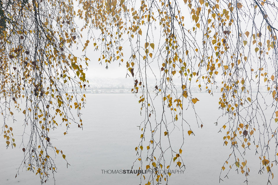 Novemberwetter auf der Halbinsel Au am Zürichsee