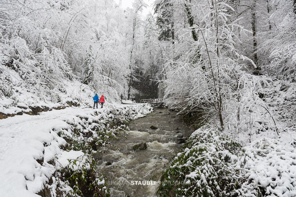 verschneite Winterlandschaft im Aabachtobel
