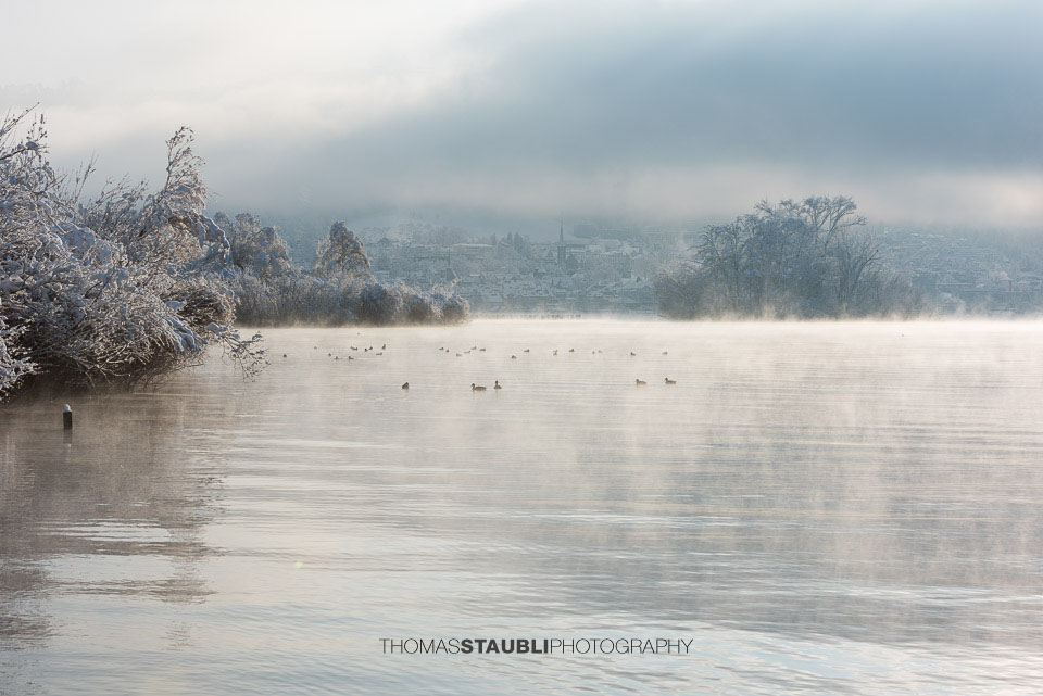 Morgennebel am Zugersee