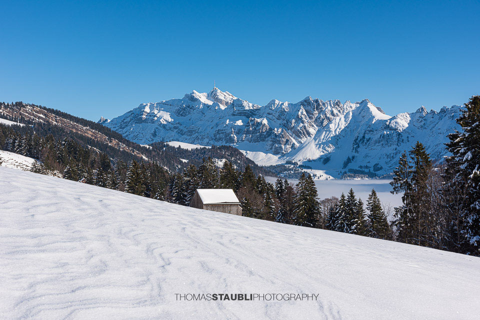 verschneite Vorder Chlosteralp mit Blick auf den Säntis
