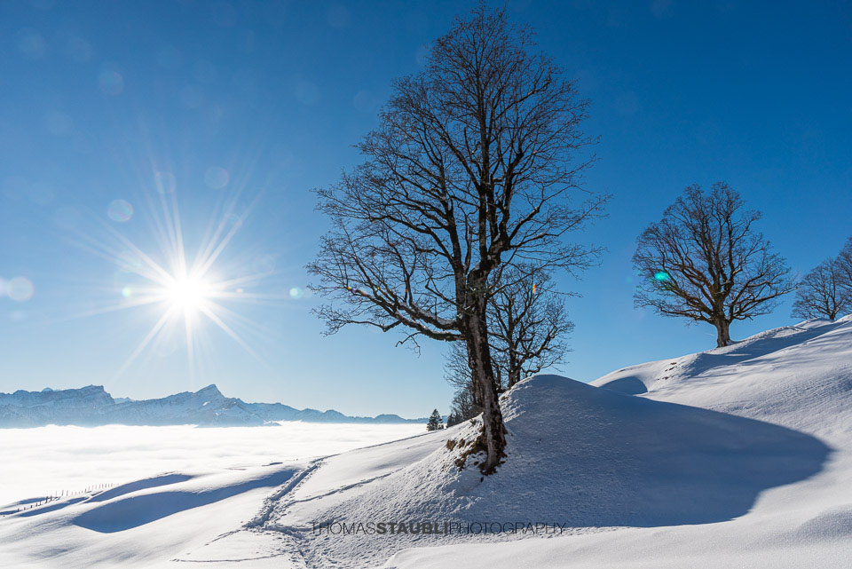 Winterlandschaft auf der Vorder Chlosteralp