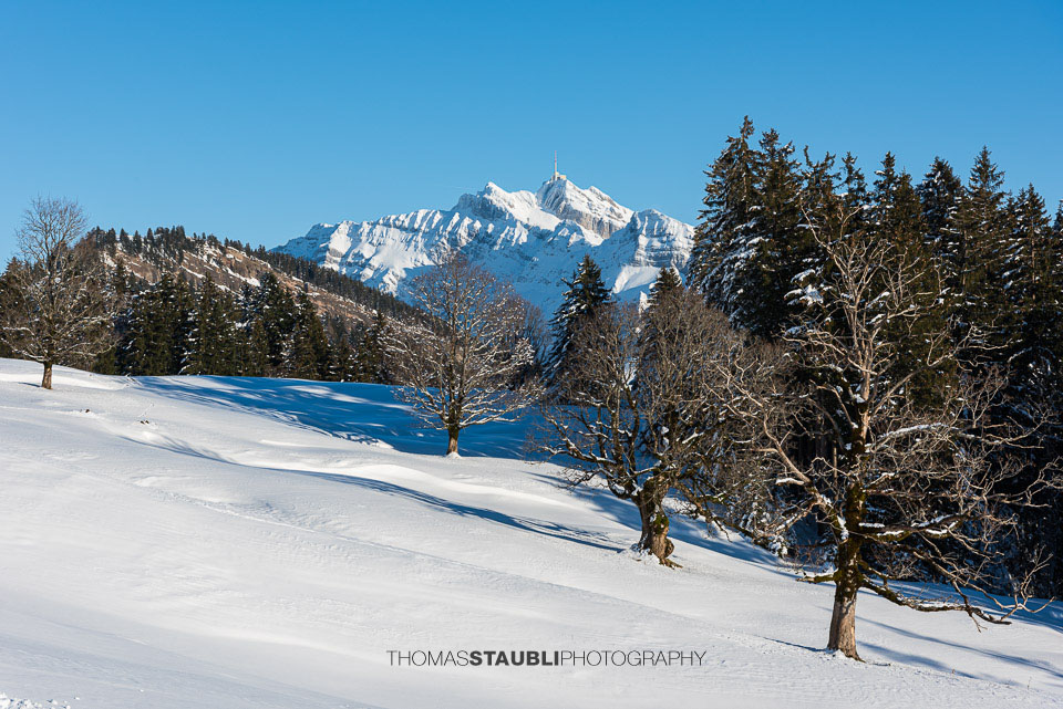 verschneite Vorder Chlosteralp mit Blick auf den Säntis