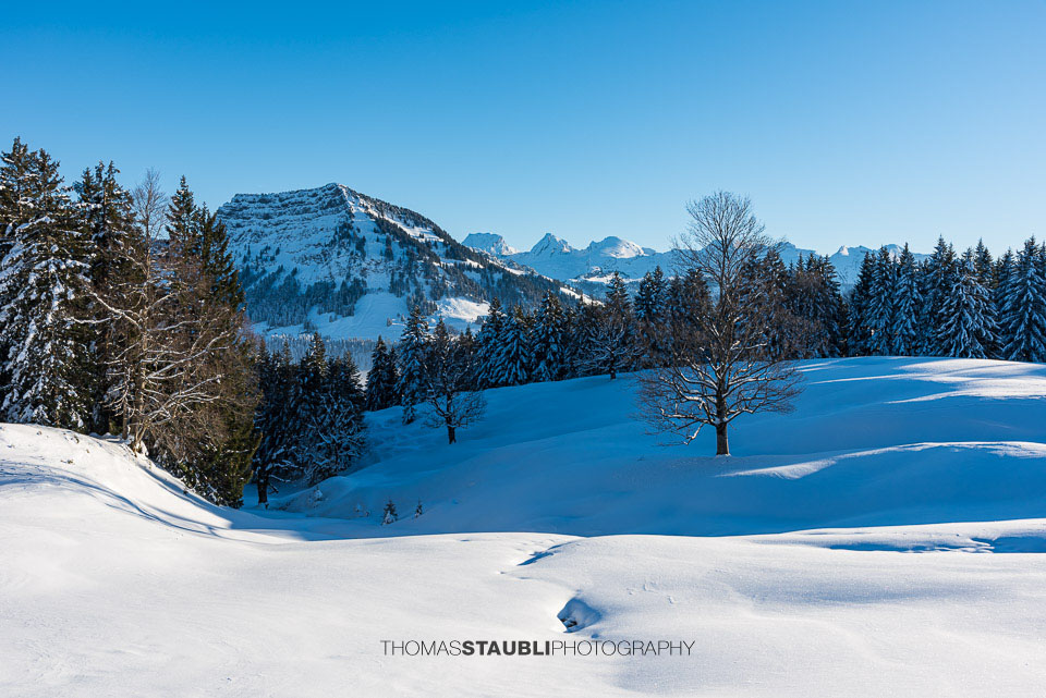 verschneite Vorder Chlosteralp mit Blick auf den verschneiten Stockberg