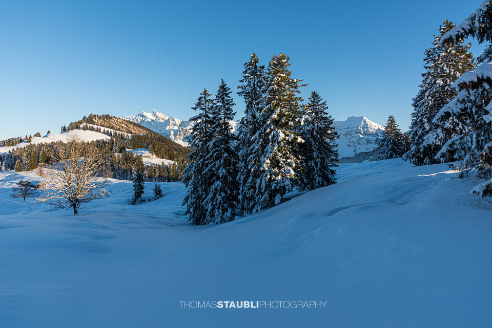 verschneite Hinter Chlosteralp mit Blick auf den verschneiten Säntis