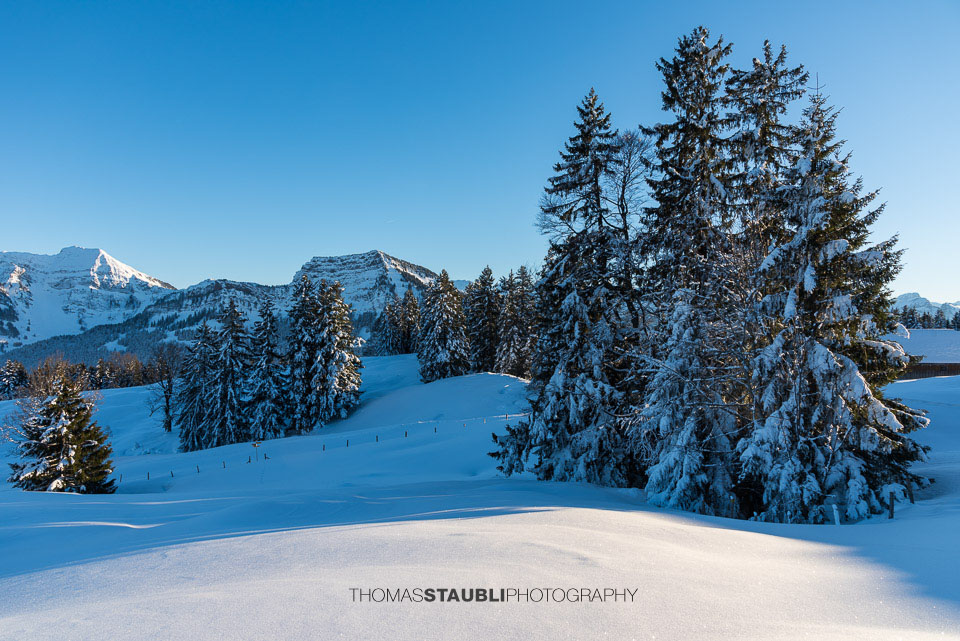 verschneite Hinter Chlosteralp mit Blick auf den verschneiten Stockberg