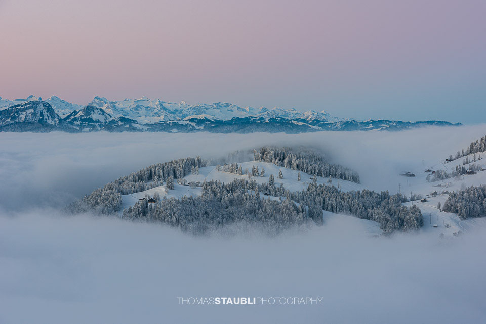 Blick vom Köbelisberg über das Nebelmeer