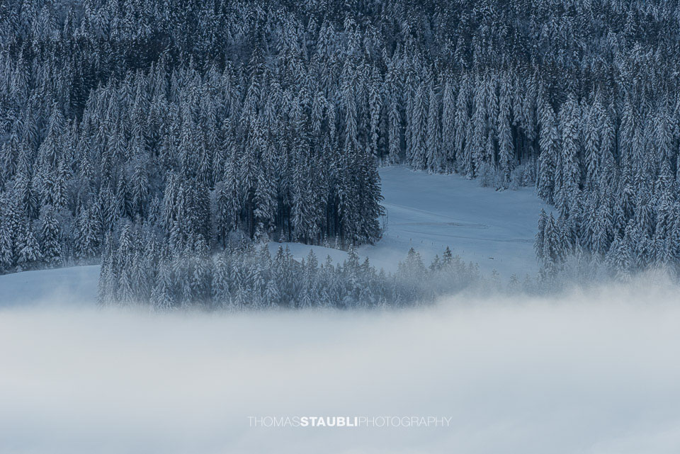 Winterimpressionen