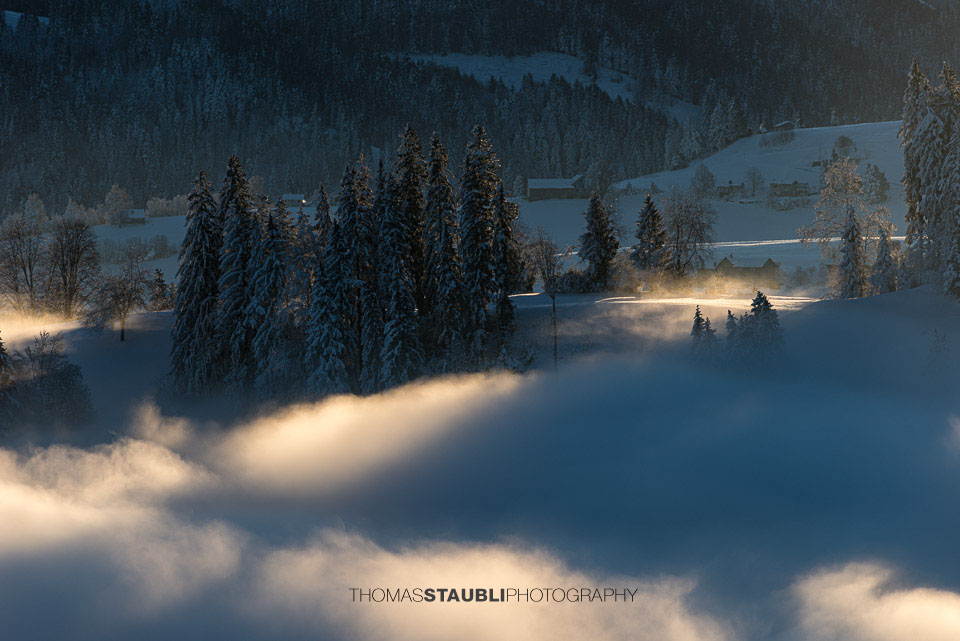 Nebelimpressionen aus dem Toggenburg