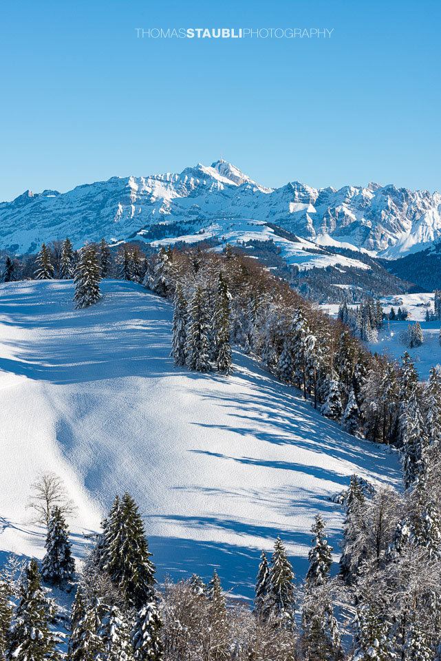 Blick vom Köbelisberg Richtung Säntis