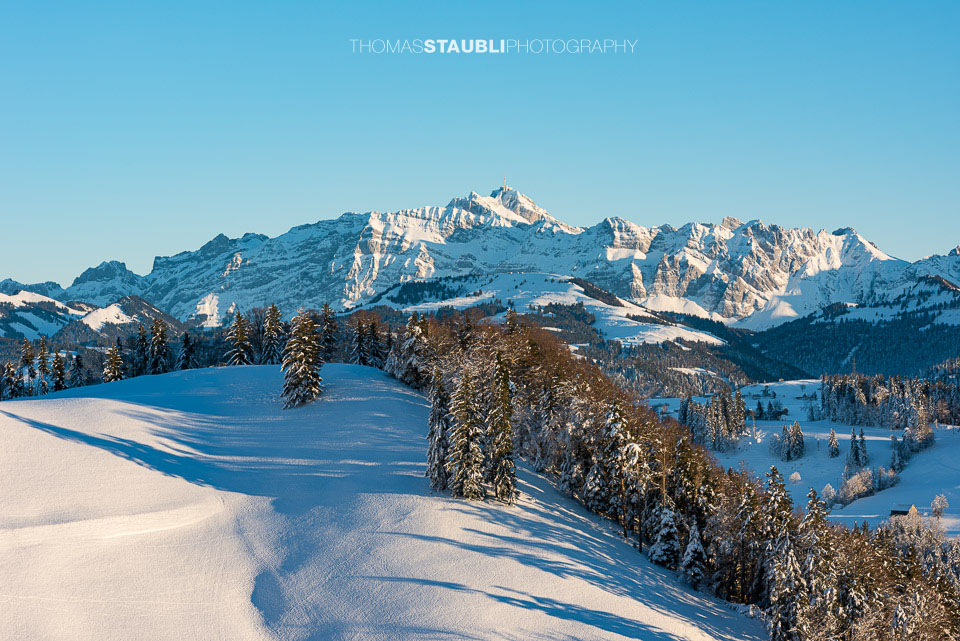 Blick vom Köbelisberg Richtung Säntis