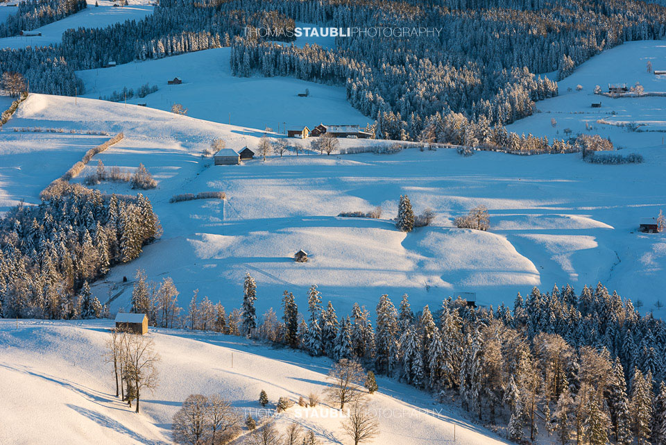 verschneite Hügellandschaft im Toggenburg