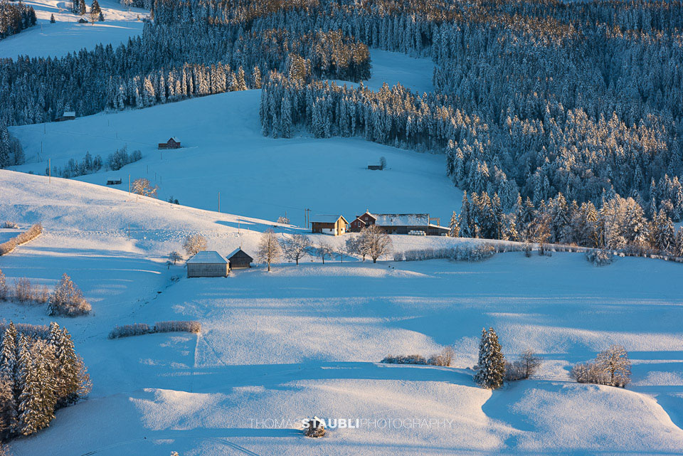 verschneite Hügellandschaft im Toggenburg