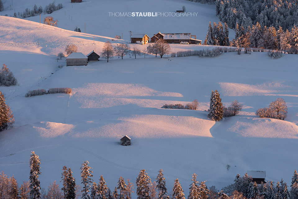 verschneite Hügellandschaft im Toggenburg