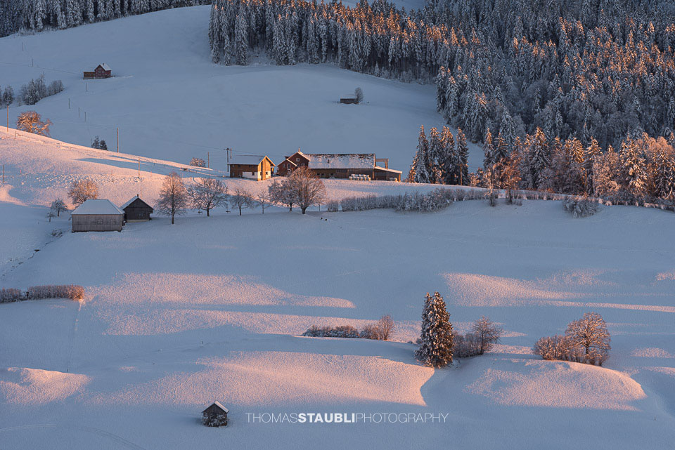 verschneite Hügellandschaft im Toggenburg