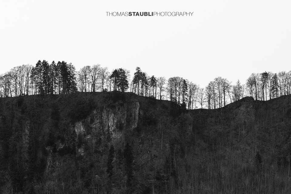 kahle Bäume auf einem Bergkamm